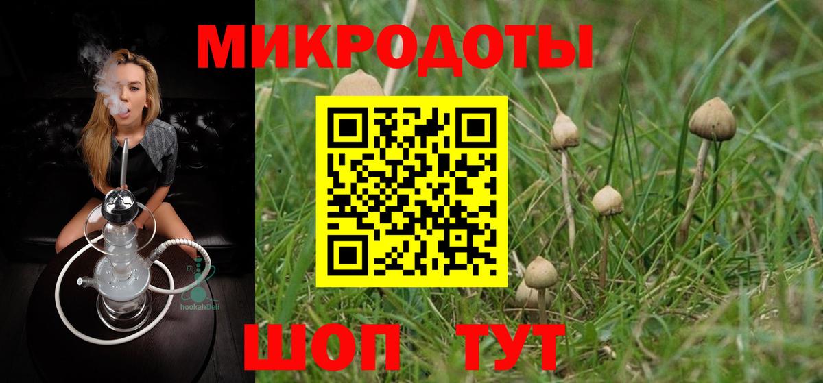 Псилоцибиновые грибы Psilocybine cubensis Клин