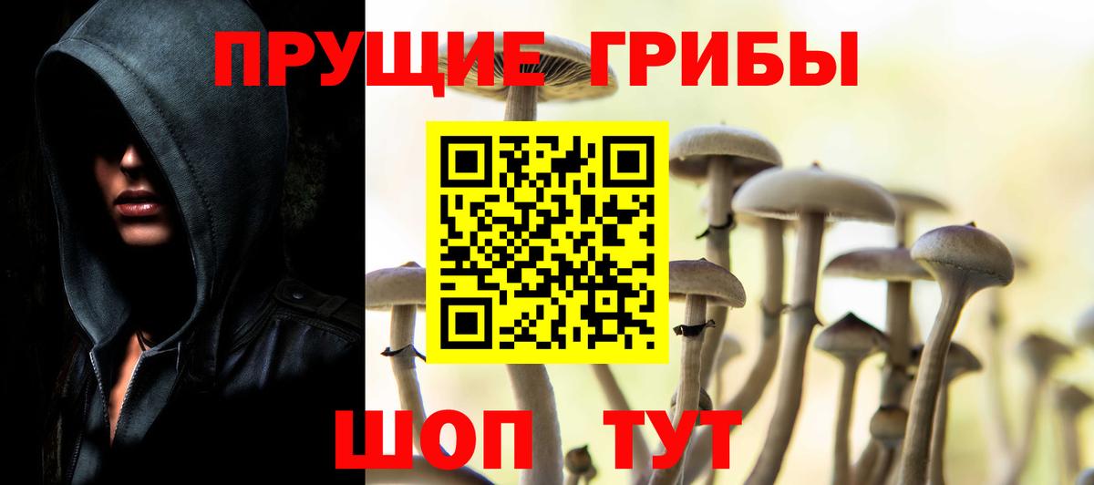 Клин  Галлюциногенные грибы GOLDEN TEACHER  Вход с VPN 